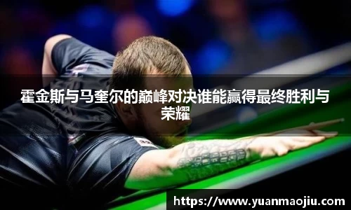 霍金斯与马奎尔的巅峰对决谁能赢得最终胜利与荣耀